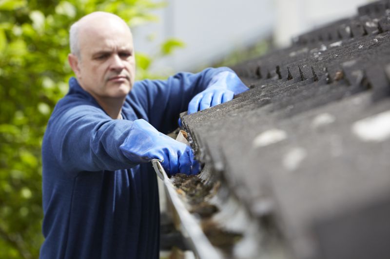 Gutter Cleaning in Spring